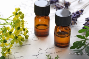 Essential Oil