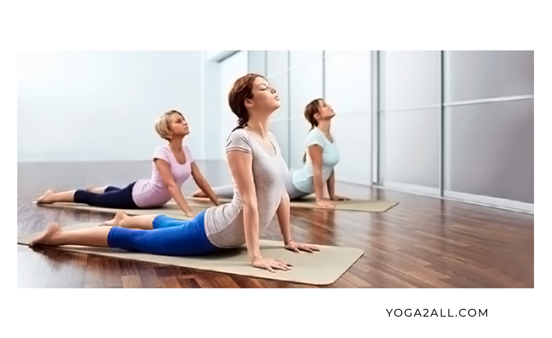 Bhujangasana-Cobra-pose