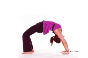 Wheel Pose Yoga